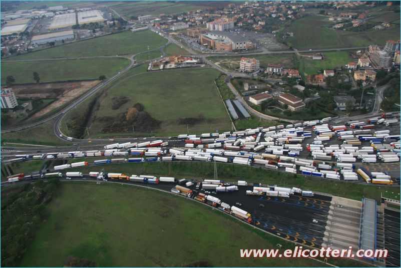 elifoto (232)